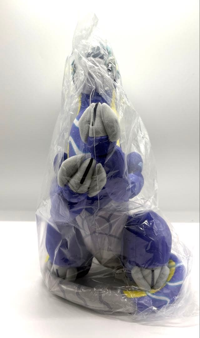 ポケットモンスター ALL STAR COLLECTION ミライドンS