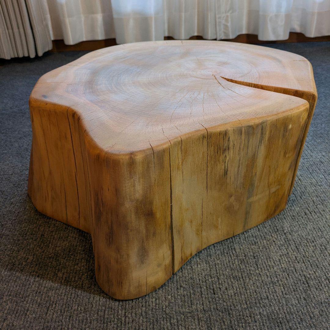 山桜　天然木　切り株　輪切り　高さ約19.5㎝