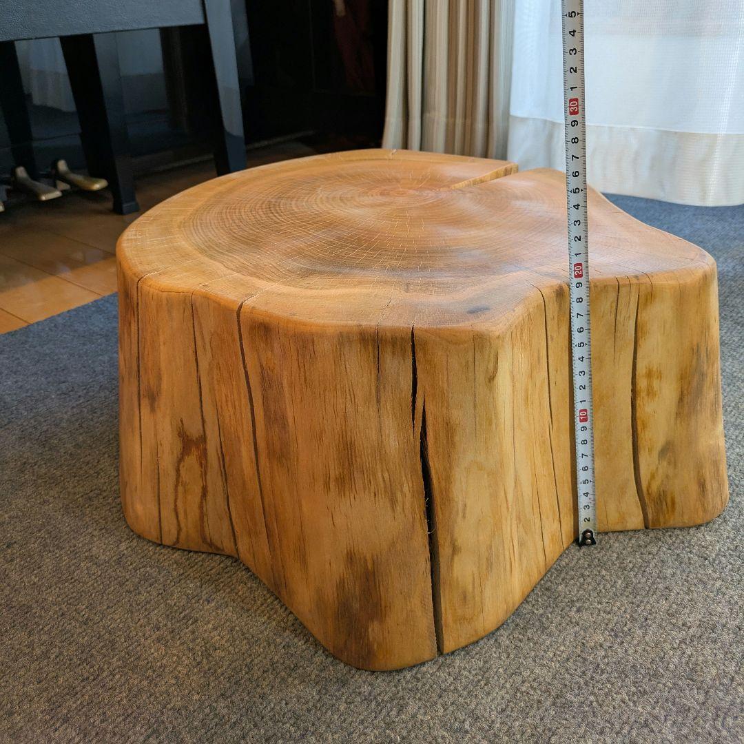 山桜　天然木　切り株　輪切り　高さ約19.5㎝