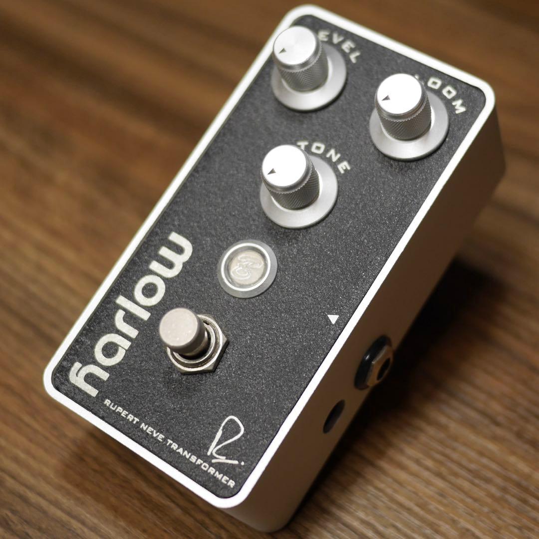 Bogner Harlow v1 限定モデル