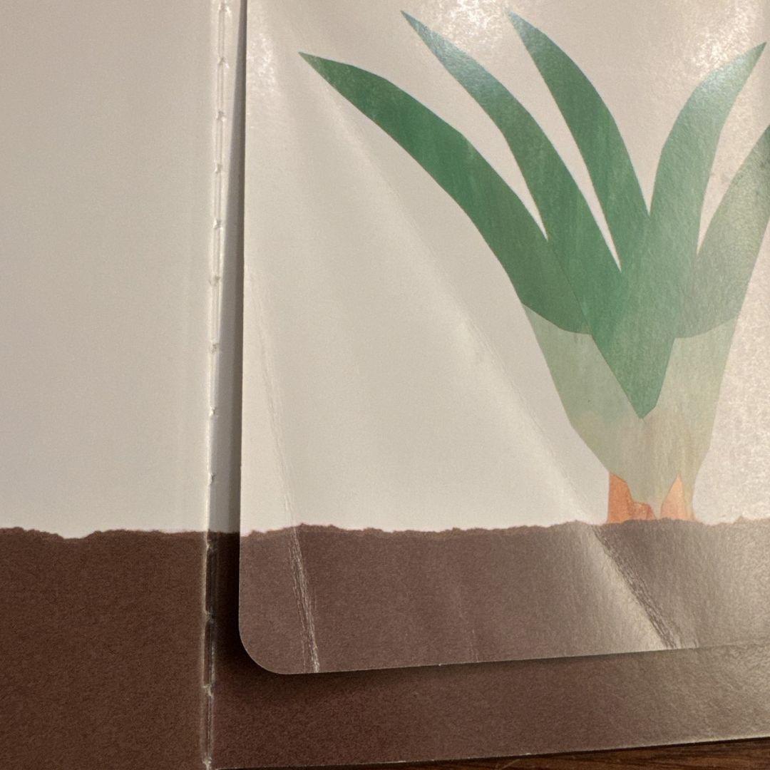 0歳〜幼児向け 読み聞かせ 46冊セット 絵本 まとめ売り 赤ちゃん 知育