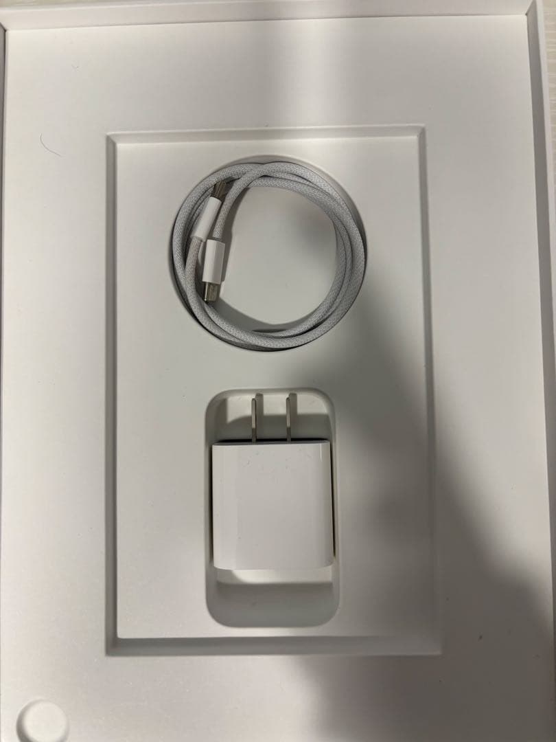 iPad 10 (第10世代) Wi-Fi 64GB