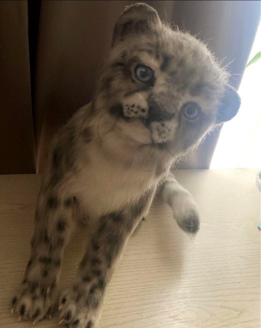 雪豹アートドール