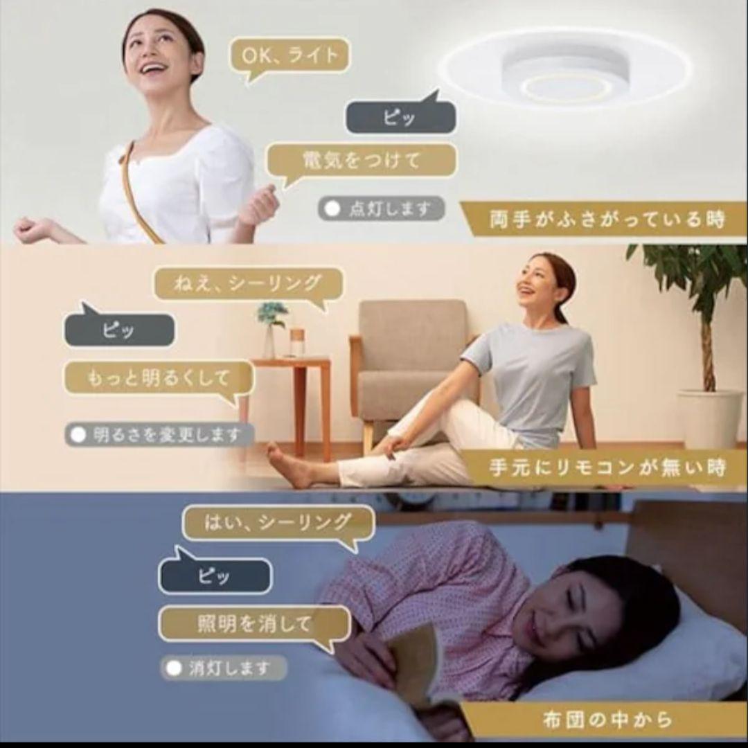 アイリスオーヤマ　音声操作　LEDシーリングライト CEK-A08DLPV