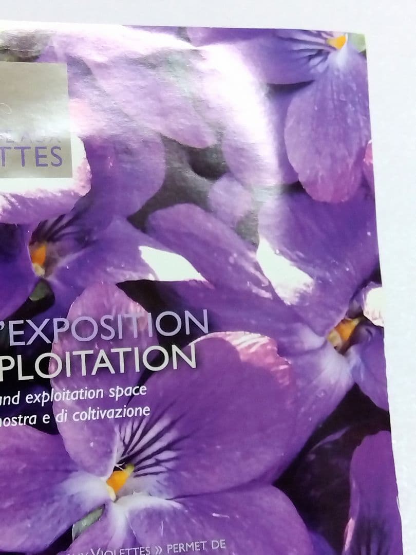 〈未開封品〉フランス スミレ博物館 エプロン＋博物館パンフレット