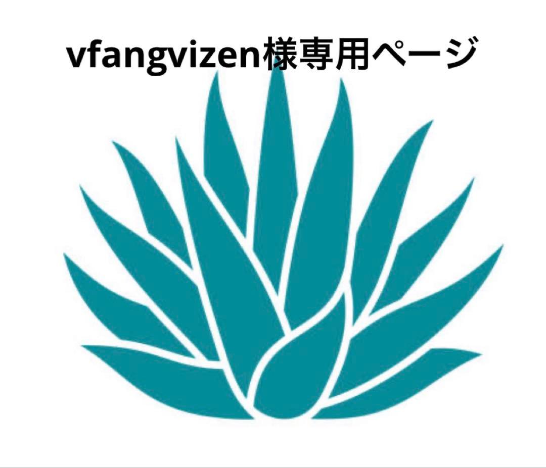 vfangvizenページ