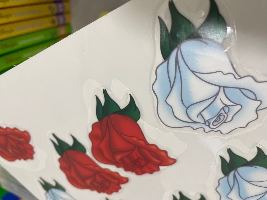 DWE ディズニー英語システム　メインプログラムフルセット　新子役　518