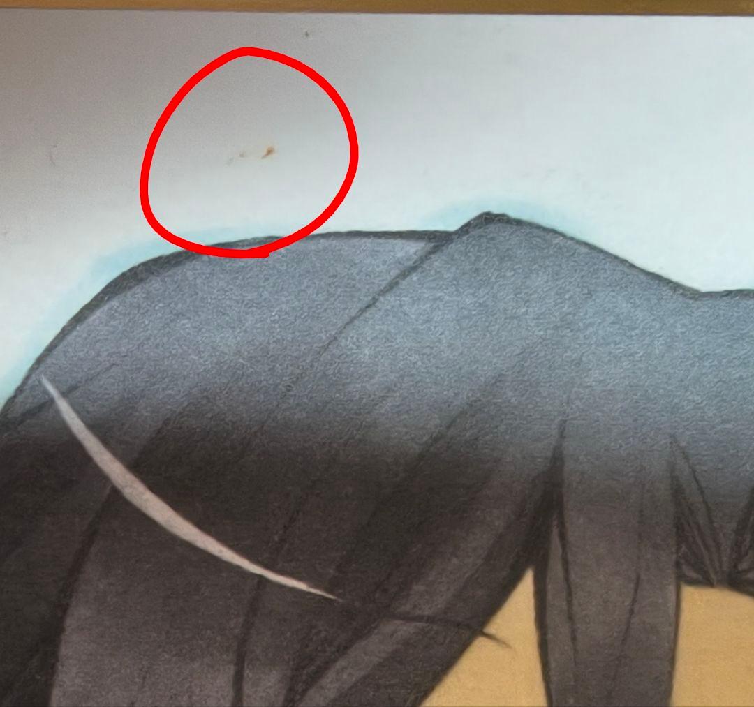 d*9様 PandoraHearts パンドラハーツ 色紙 イラストパネル