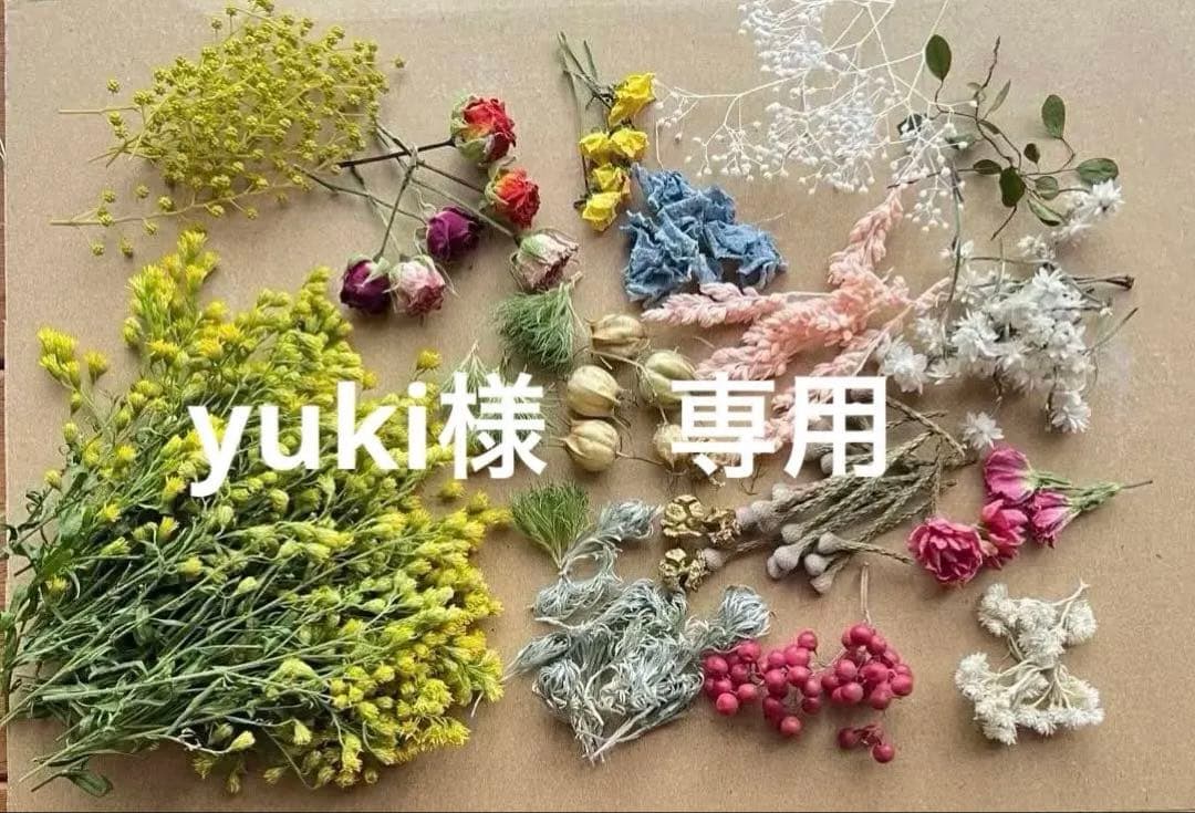 yuki　ソリダスター　ドライフラワー　花材　1束　ネコポス発送♡