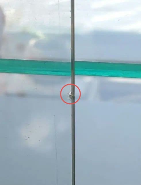 古いガラスケース 小型 ショーケース 3段ラック 当時物