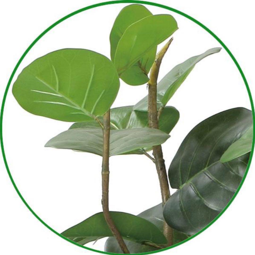 光触媒　人工観葉植物　フェイクグリーン　シーグレープDX1.25