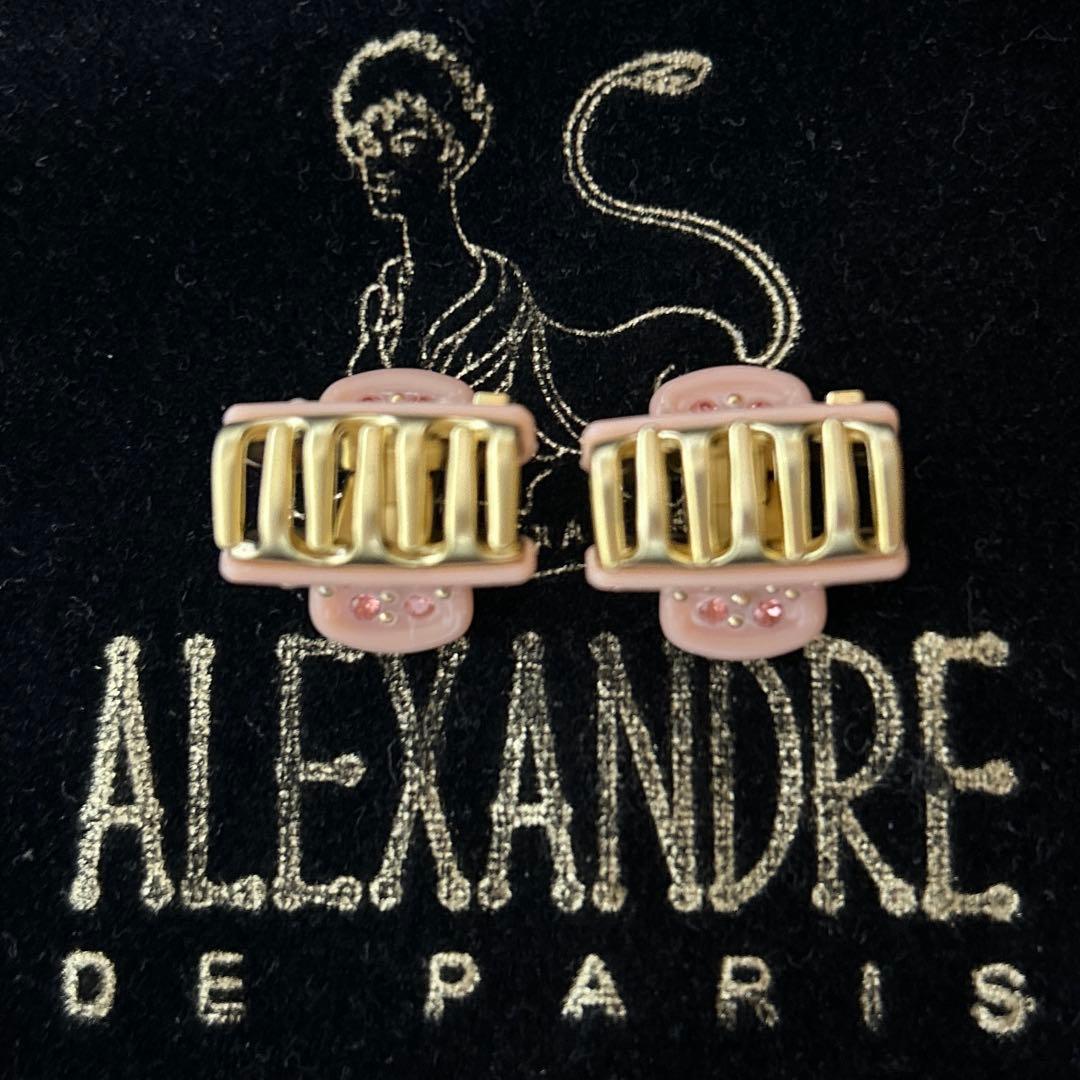 新品 ALEXANDRE DE PARIS ヴァンドームクリップ　1.8㎝2個