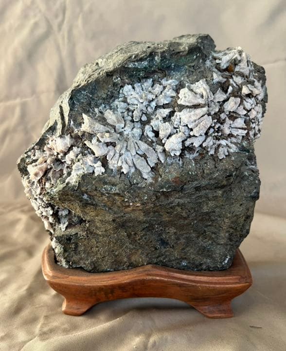 根尾谷　天然菊花石