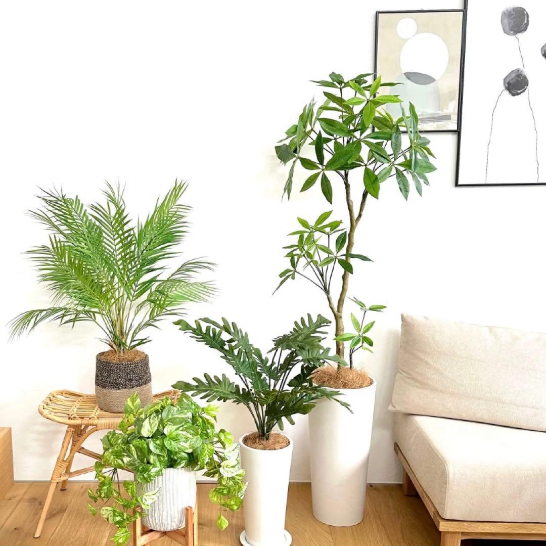 Prima フェイクグリーン 観葉植物 アレカヤシ