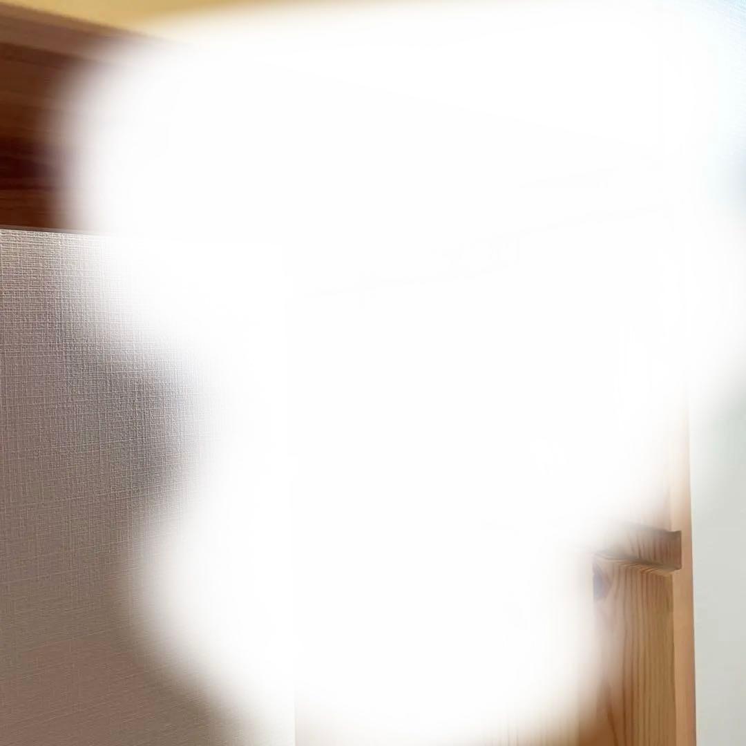 IKEAトロファスト収納BOX4個付き