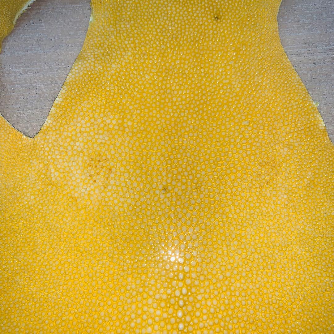 7) エイ革 鮫革 鮫皮 stingray ガルーシャ スティングレイ