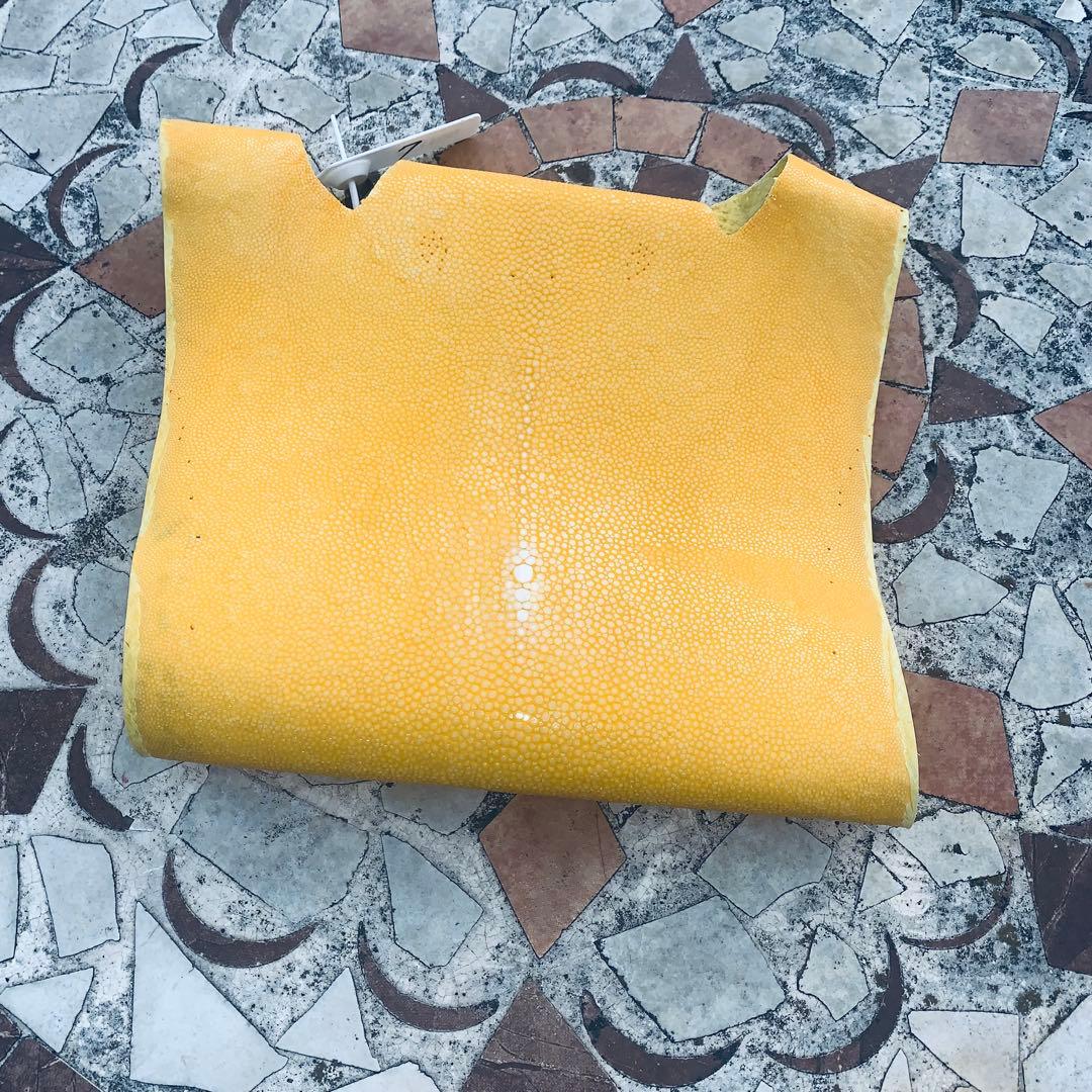 7) エイ革 鮫革 鮫皮 stingray ガルーシャ スティングレイ