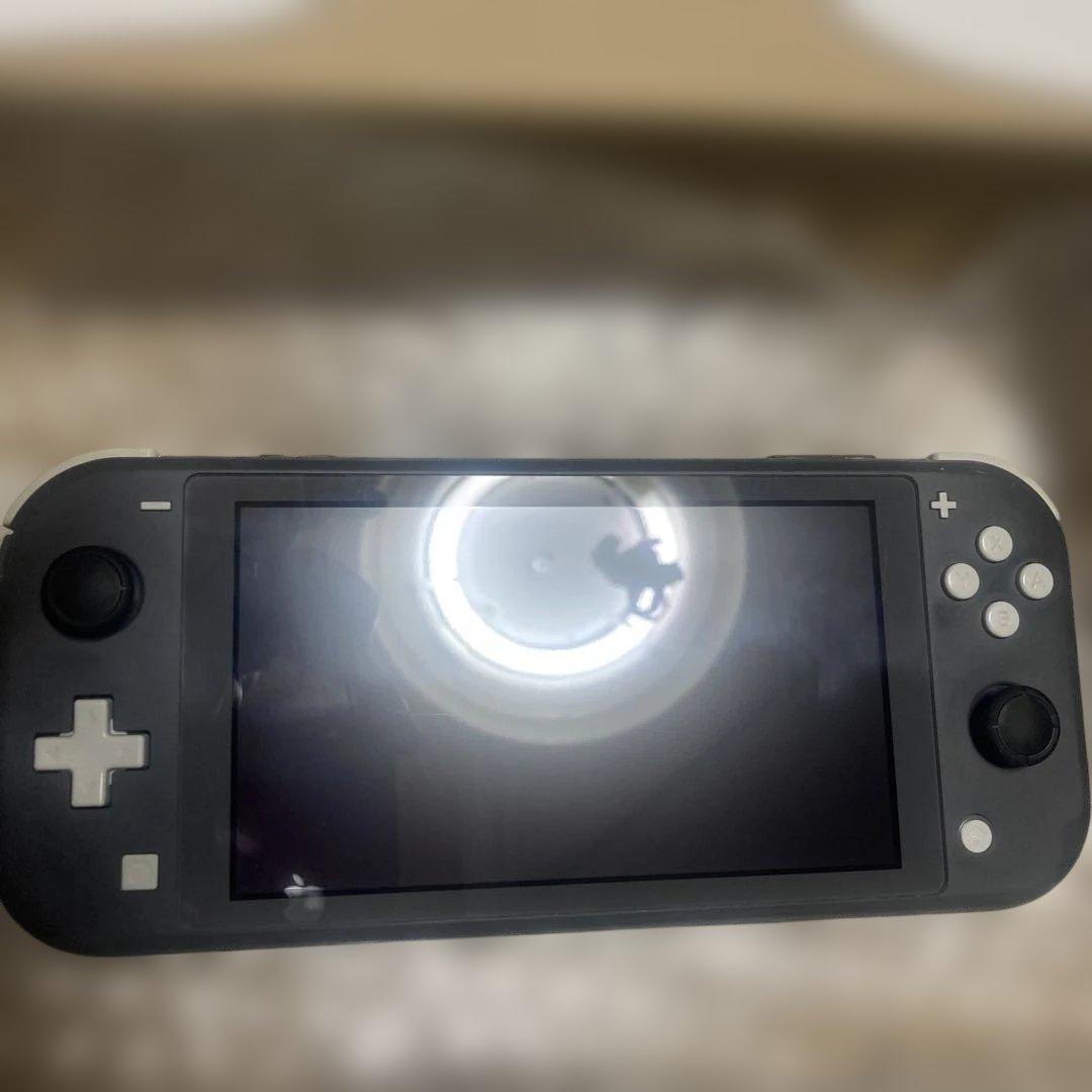 無*）様 Nintendo Switch Lite グレー 本体