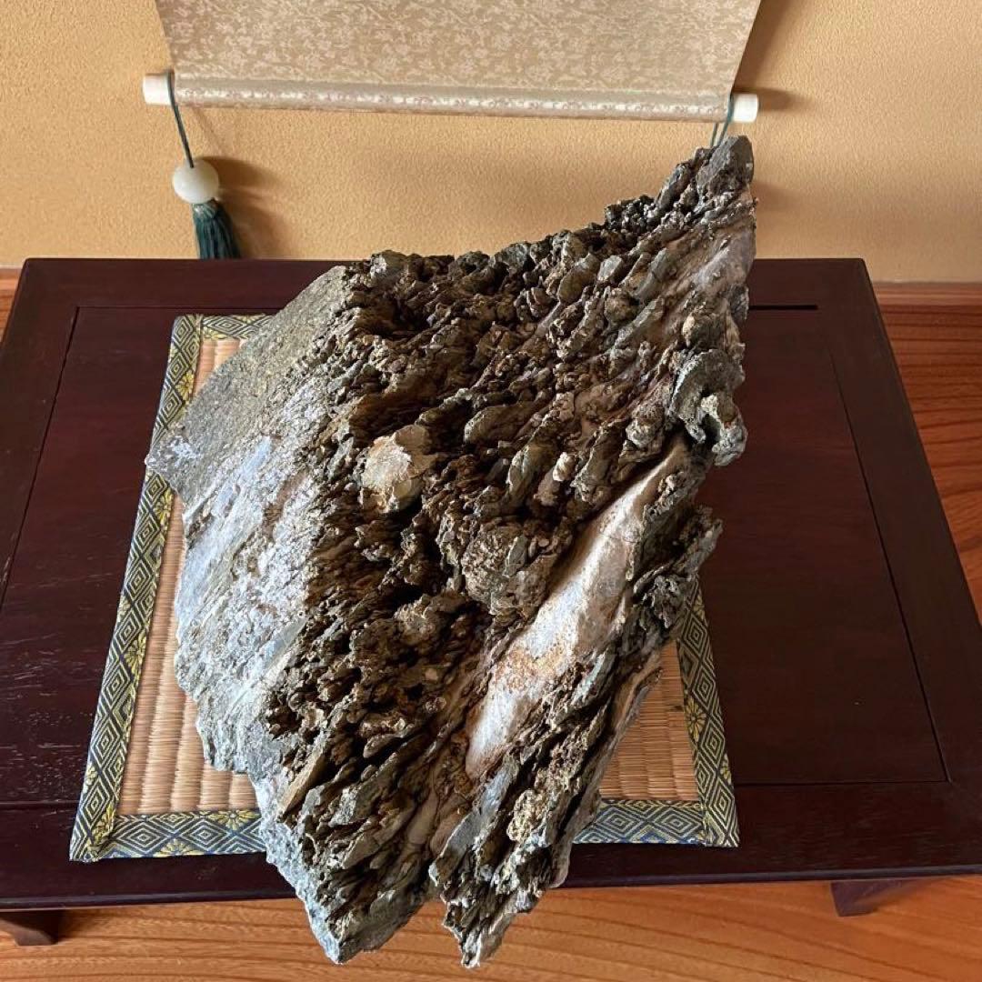 水石 鑑賞石 【八溝石 】特大 和風インテリア オブジェ アクアリウム 水槽石