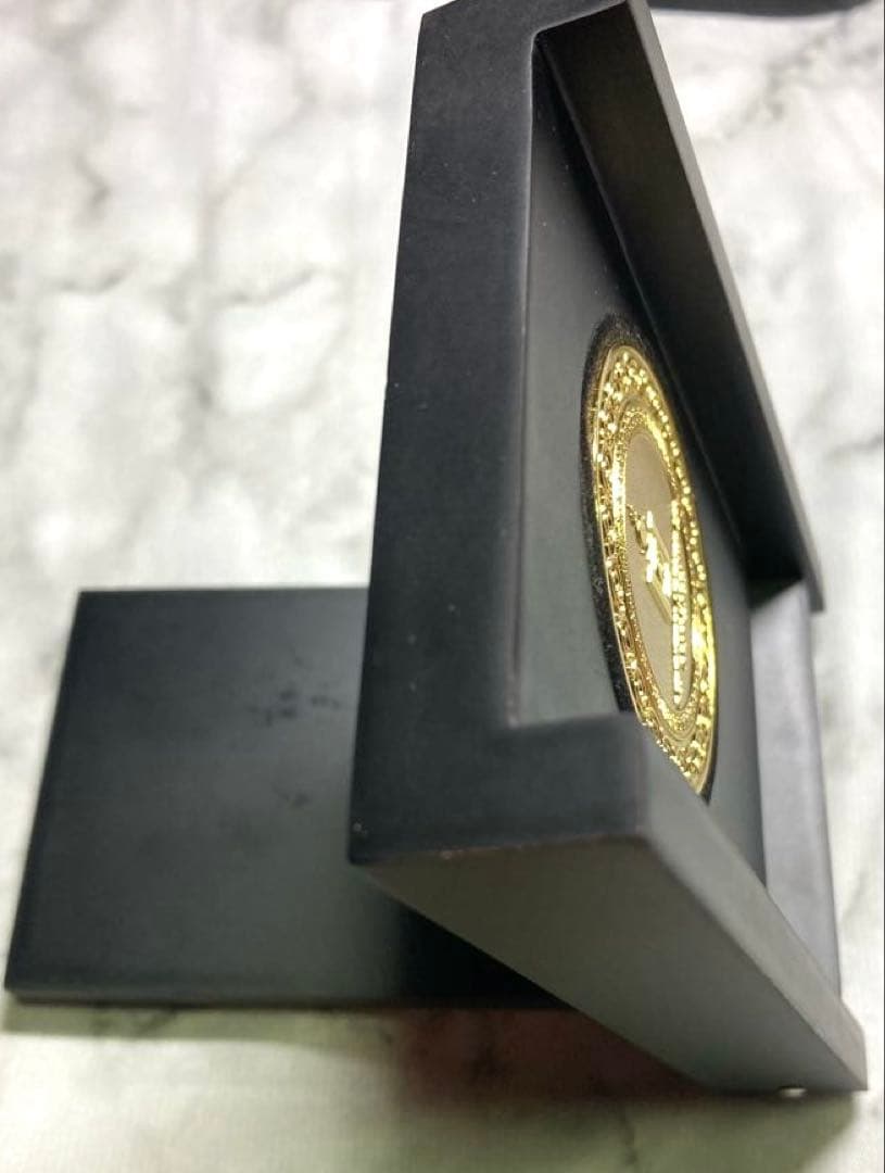 【レア】モンゴル エネルギー省 記念メダル　ソヨンボ