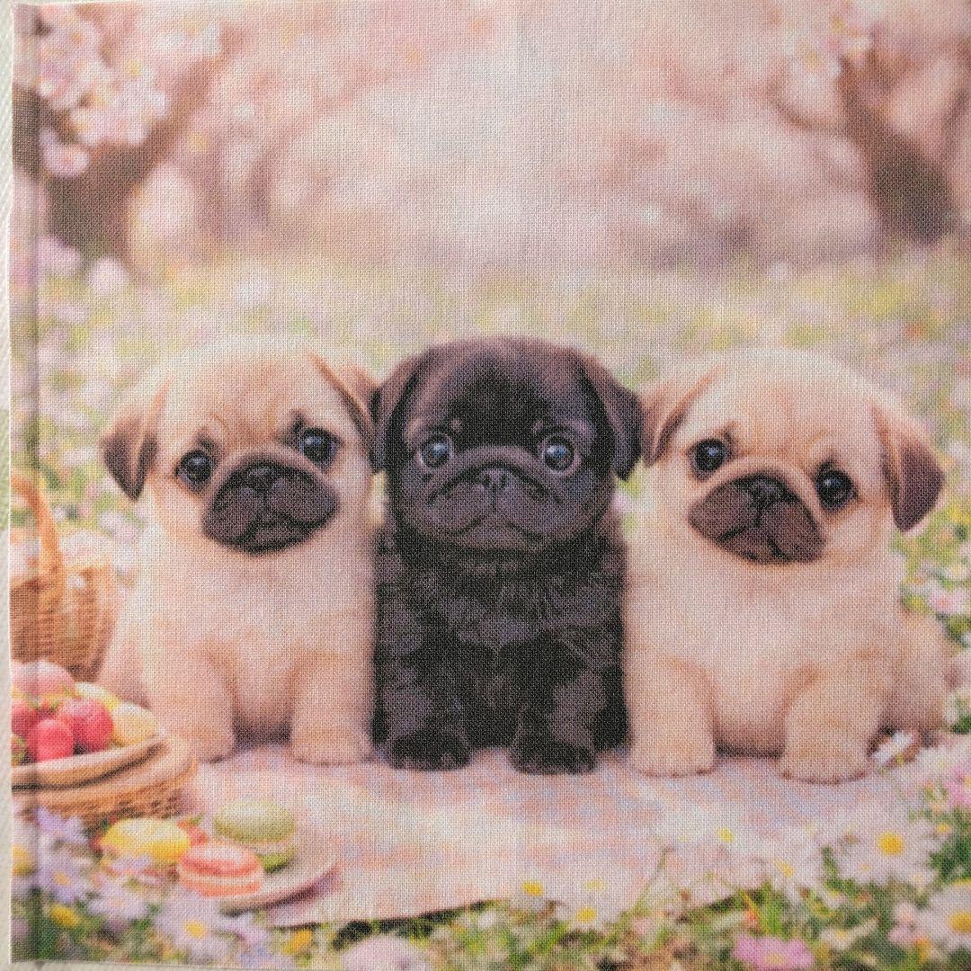 ☆受付☆パグ No.B