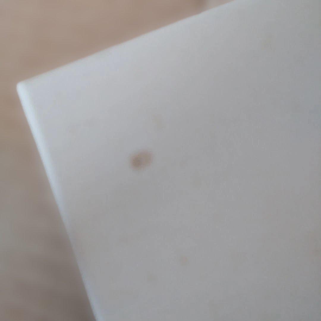 CENTURY レディース 腕時計 ブラック/ゴールド