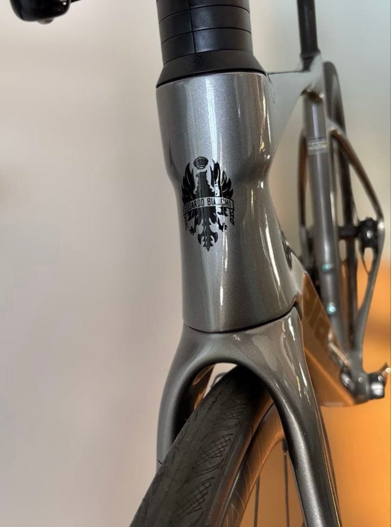 2025Bianchiビアンキ スペシャリッシマ コンプ 105di2 53