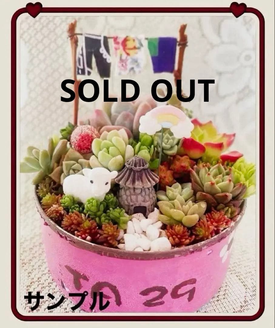 ⑤箱庭セットキット◆多肉寄せ植え