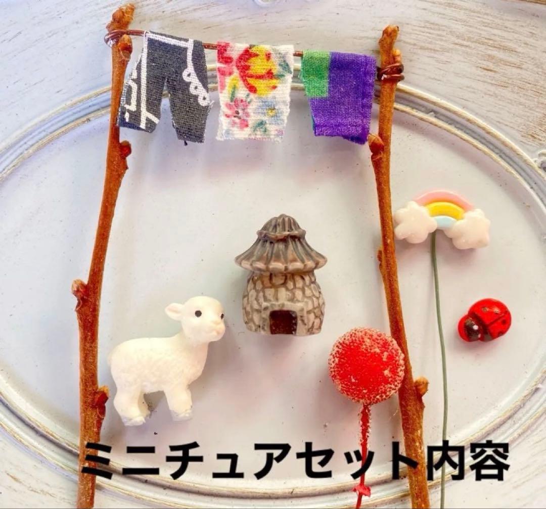 ⑤箱庭セットキット◆多肉寄せ植え