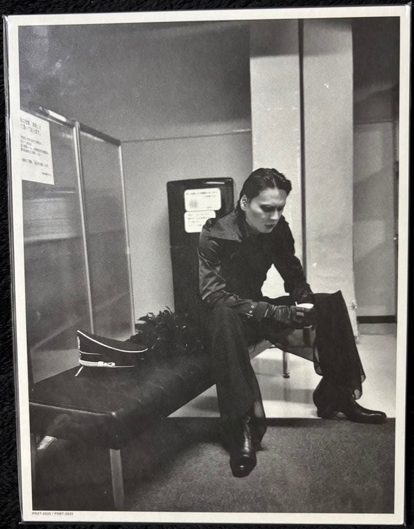 buck-tickセット売り バクチク現象DVD TO SEARCH CD