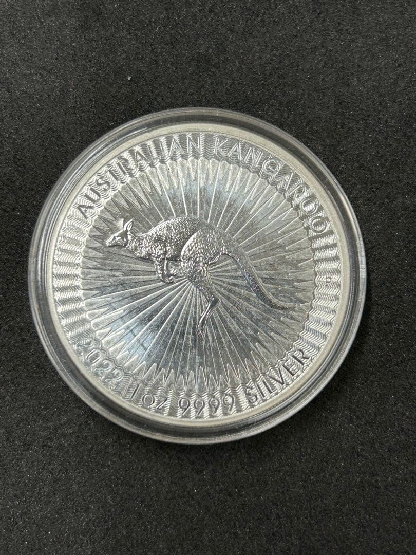 オーストラリア・カンガルー銀貨 1オンス　③ ケース付き