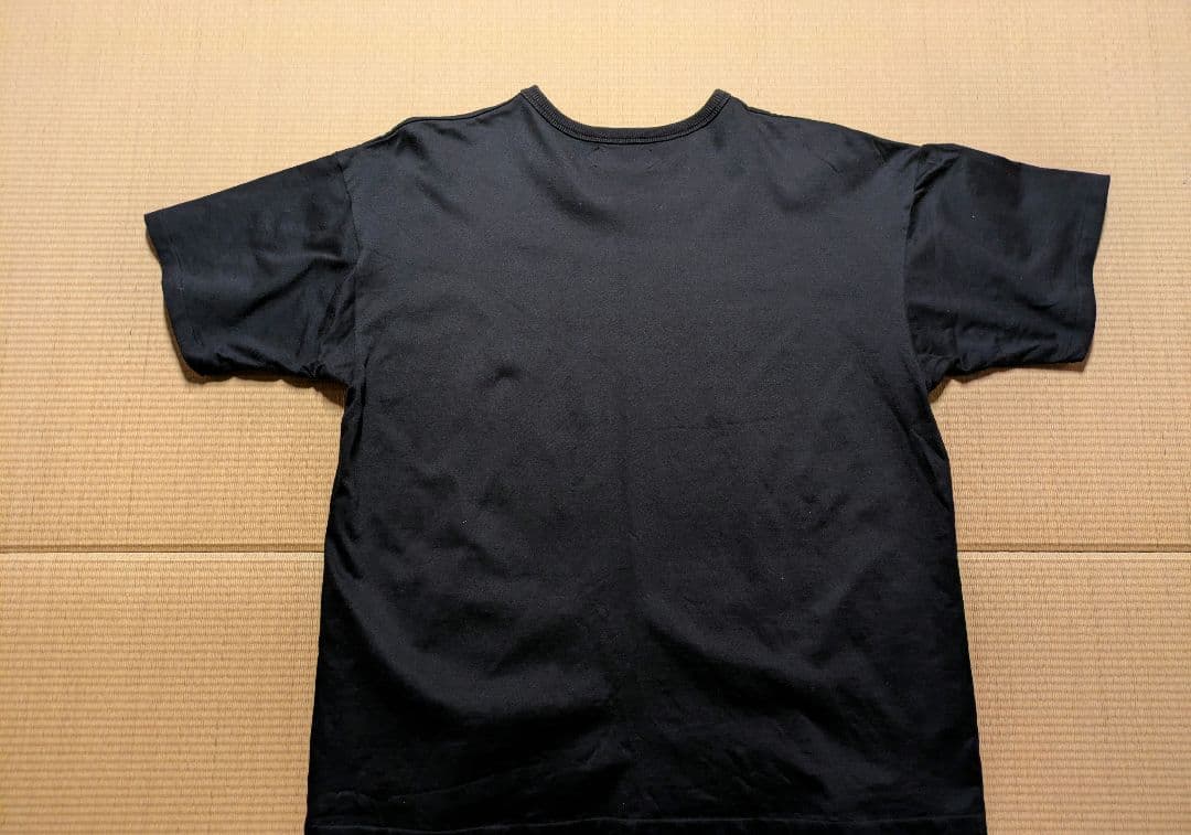 本日のみ特別価格【サイズ44】AUBERGE　トリコ　シーアイランドコットン