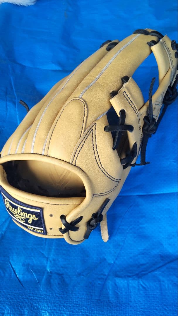 Rawlings 軟式グローブ ベージュ EST. 1887