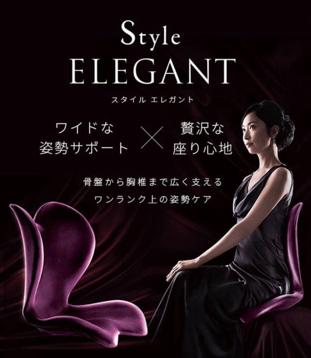 緊急処分！！美品！！骨盤矯正。姿勢矯正補正、在宅勤務、激安出品