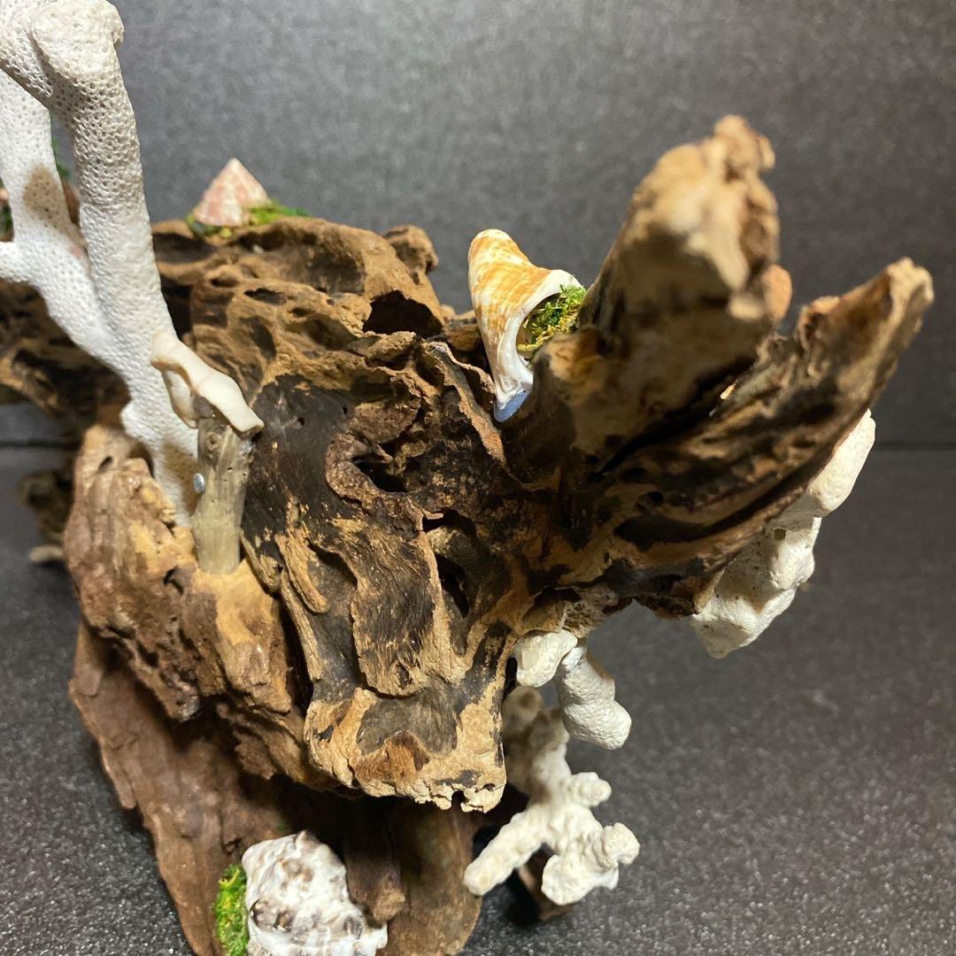 流木アート⚫︎ 恐竜 インテリア サンゴ 一点モノ