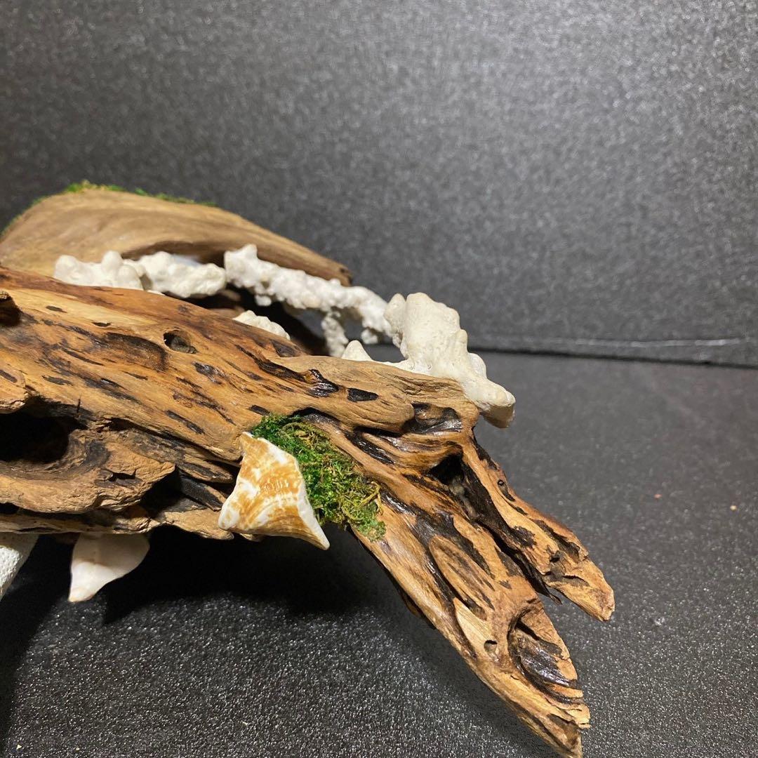 流木アート⚫︎ 恐竜 インテリア サンゴ 一点モノ
