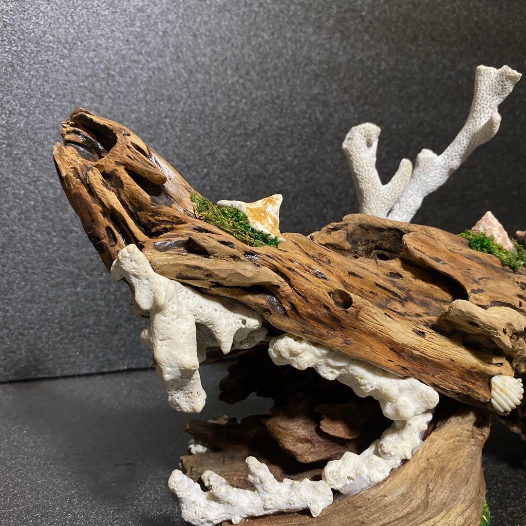 流木アート⚫︎ 恐竜 インテリア サンゴ 一点モノ
