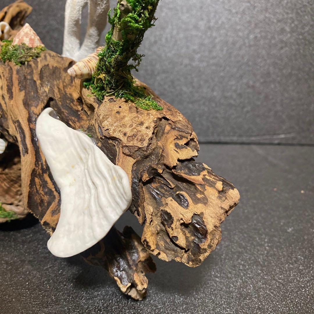 流木アート⚫︎ 恐竜 インテリア サンゴ 一点モノ