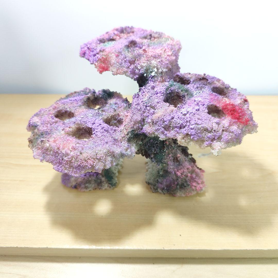 プラグ穴付き アク抜き不要人工ライブロック 海水水槽 レプリカ コーラルフラグ4