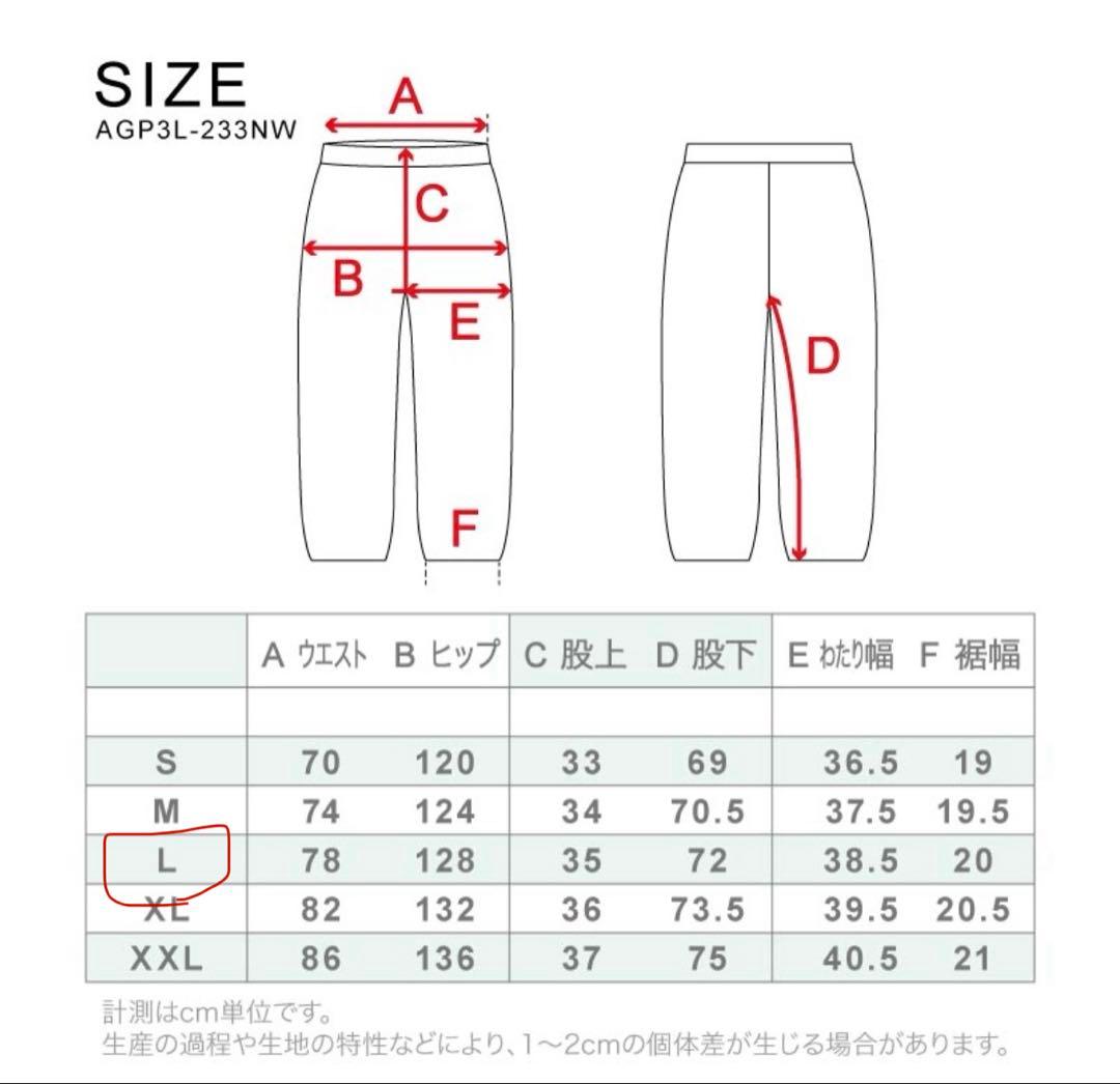 スノーボード　ウェア 上下セット　スノボ　セット　スキー　L