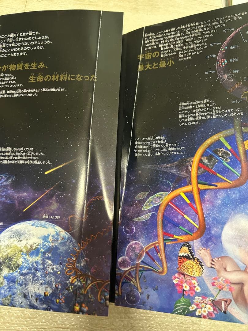 小学館の図鑑NEO まとめ売り