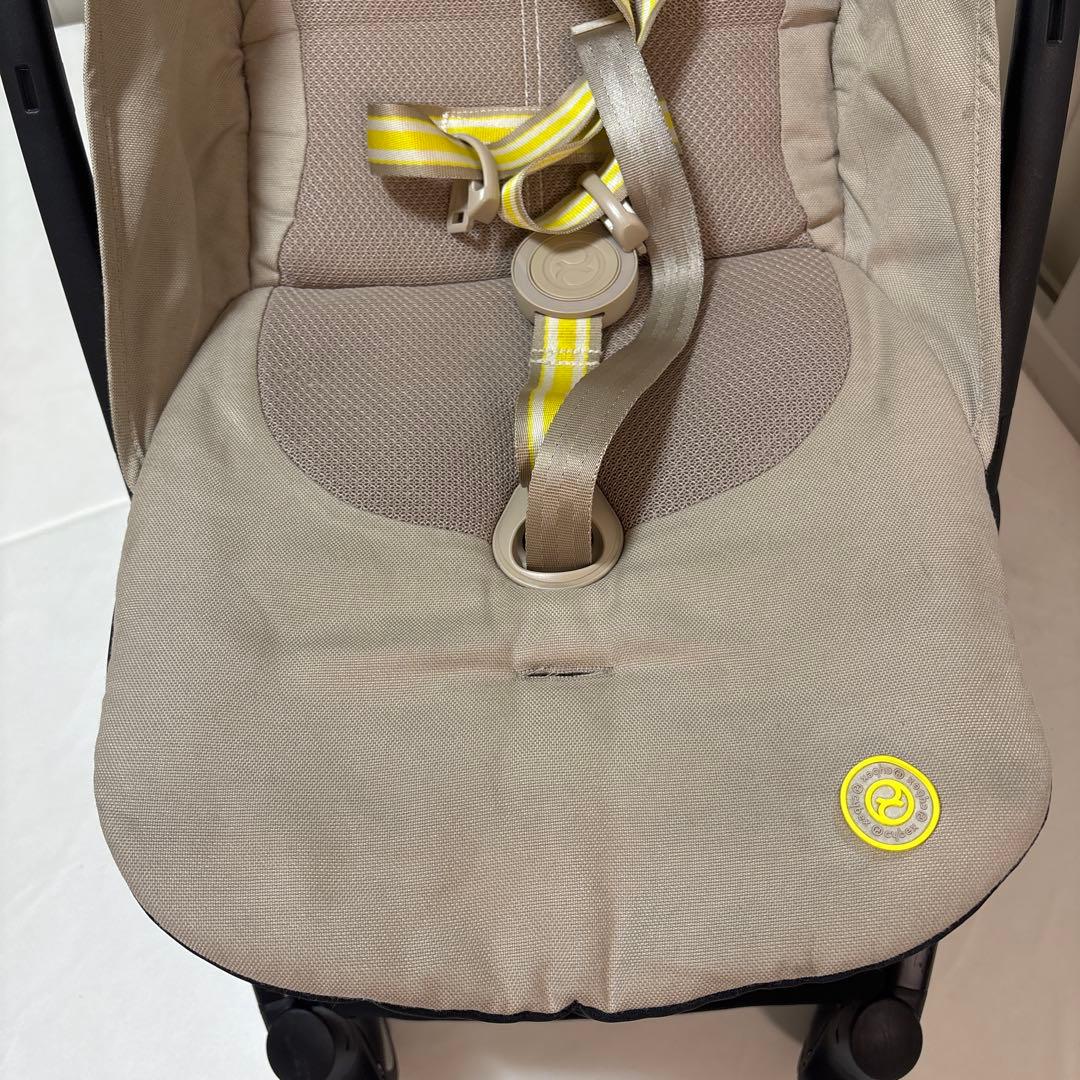 サイベックス　リベル　2023年式