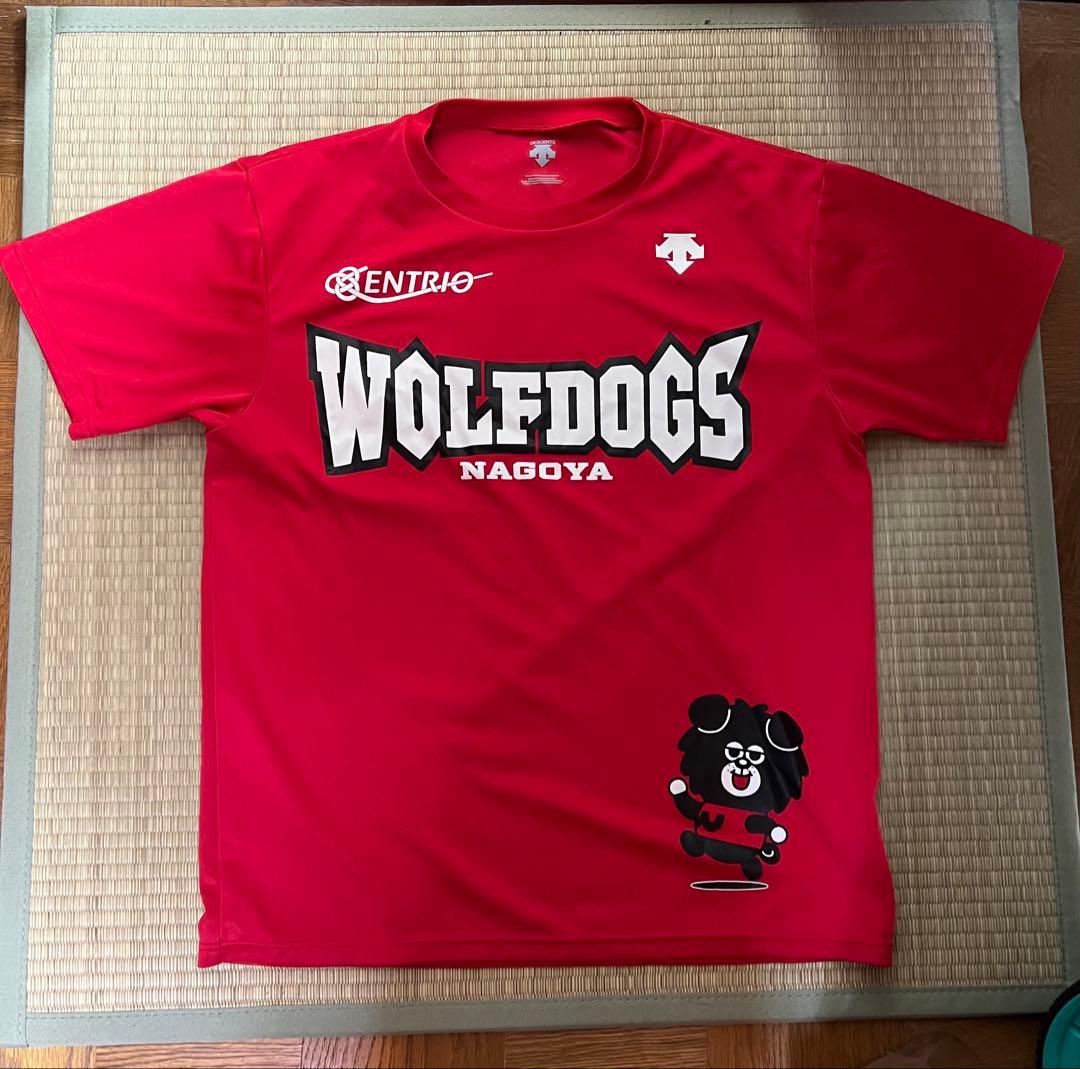 【希少】ウルフドッグス名古屋 非売品 Tシャツ 水町泰杜 宮浦健人 小川智大