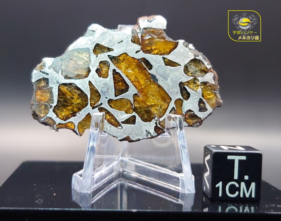 ⭐️11.3g イミラック パラサイト 隕石 Imilac