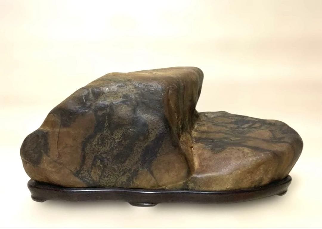 【希望ケ丘】　瀬田川石　瀬田川虎石　飴虎　水石