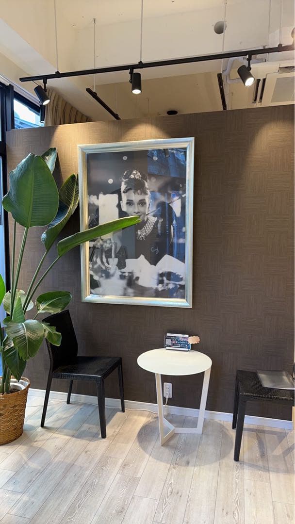 【特大】オードリーヘップバーン　グラフィックフォト