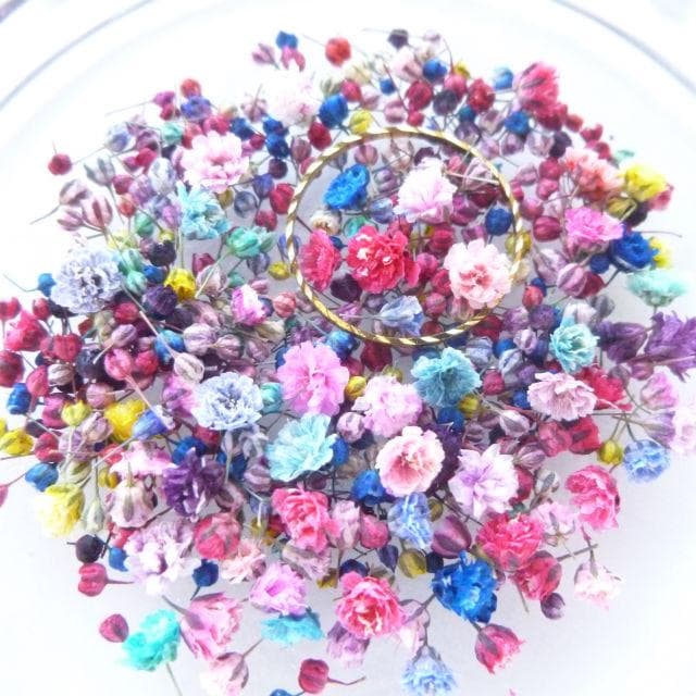 biidoro.0708様◆【ドライフラワー】かすみ草の蕾 着色（824）