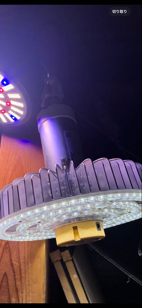 WAmam ミラクルパンチ　2個セット