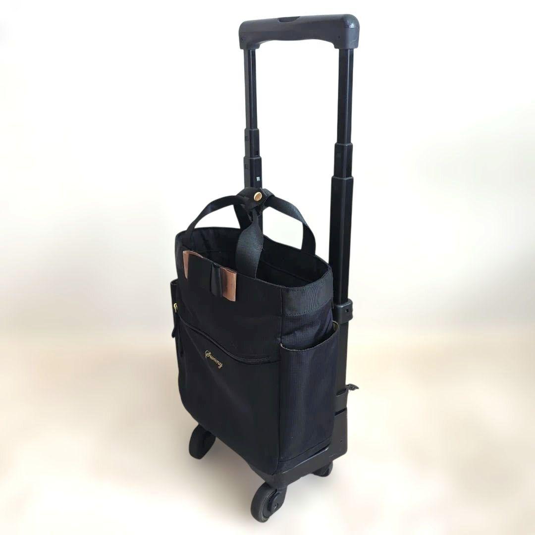SWANY ルバンド D-640 キャリーバッグ