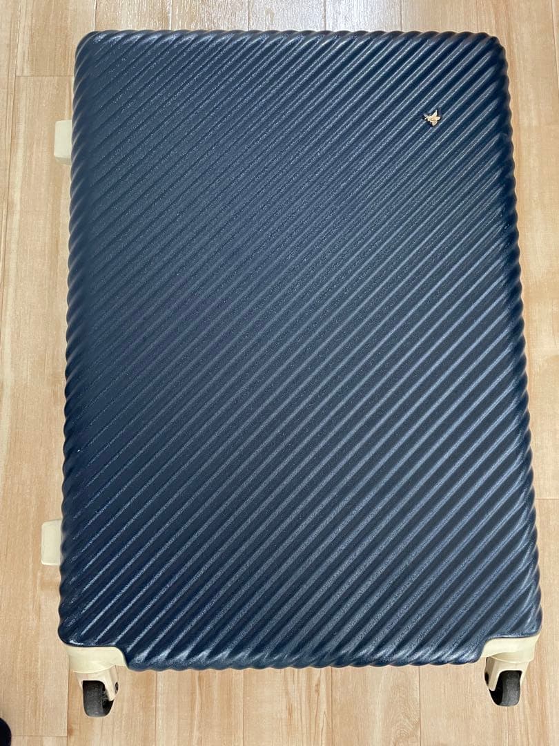 キャリーバッグ